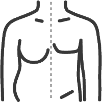 Male Chest