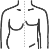 Male Chest